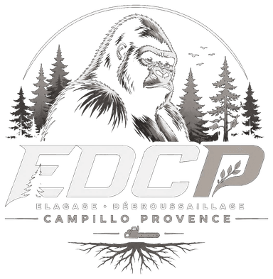 EDCP Élagage Débroussaillage Campillo Provence